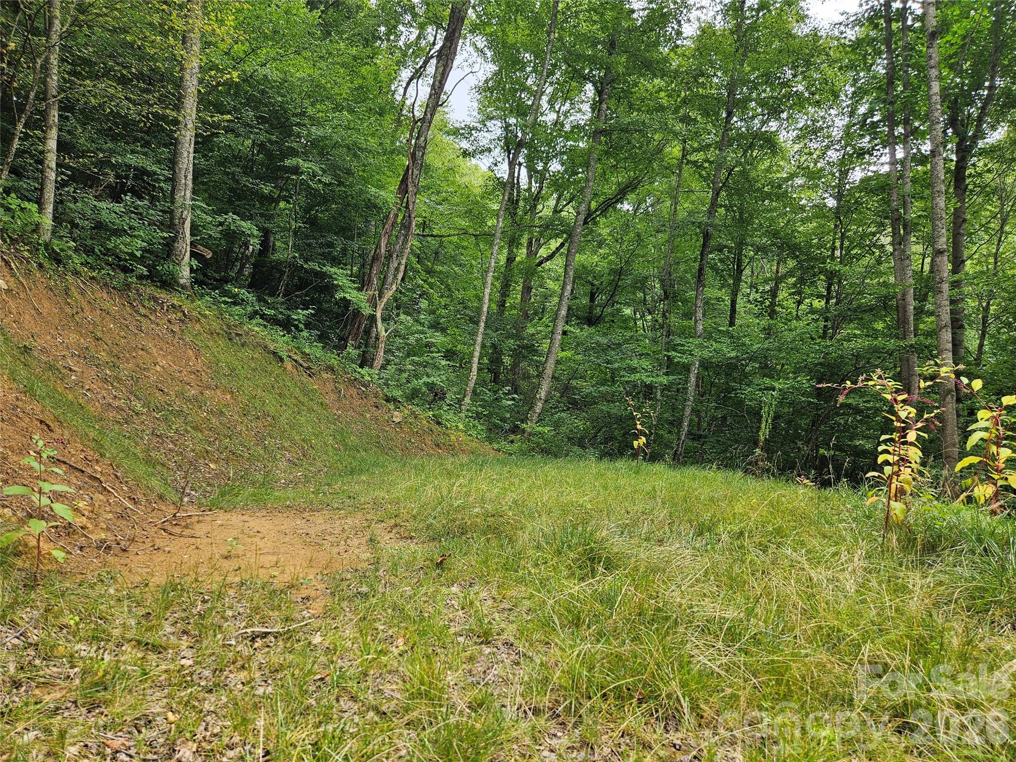 00 Wayward Cove Property Photo 6