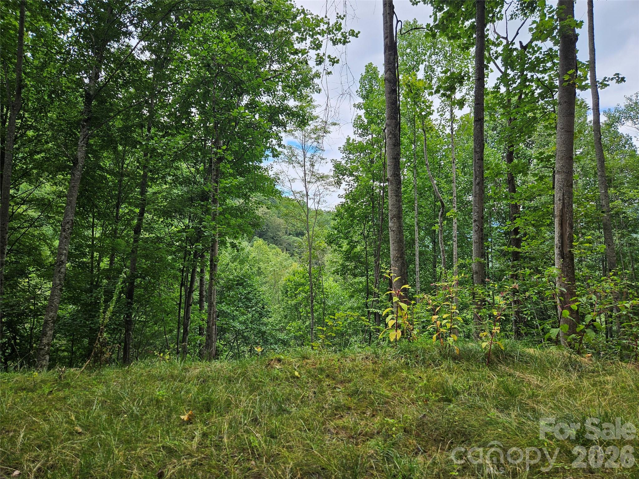 00 Wayward Cove Property Photo 7