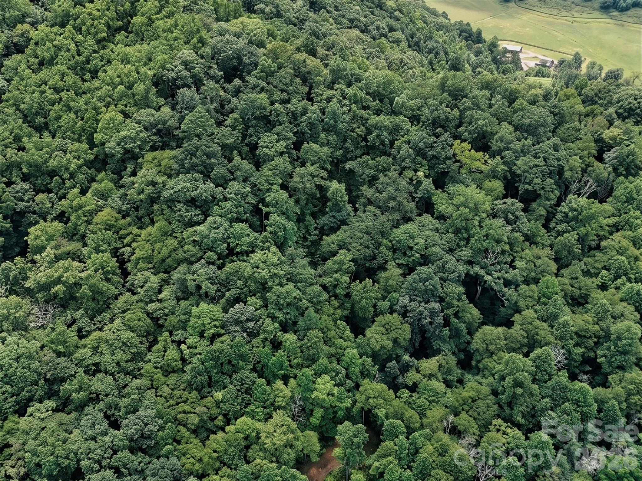 00 Wayward Cove Property Photo 8