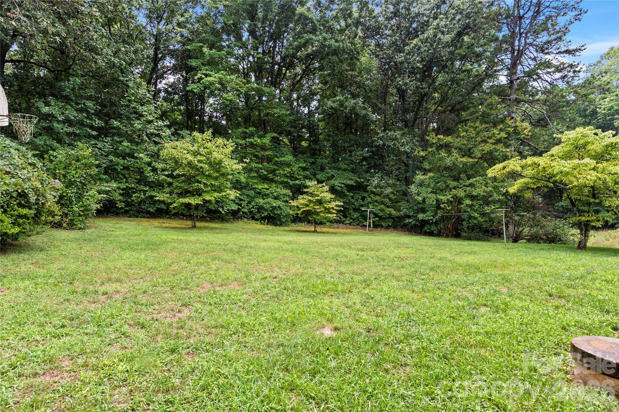 153 Shady Lane Property Photo 31