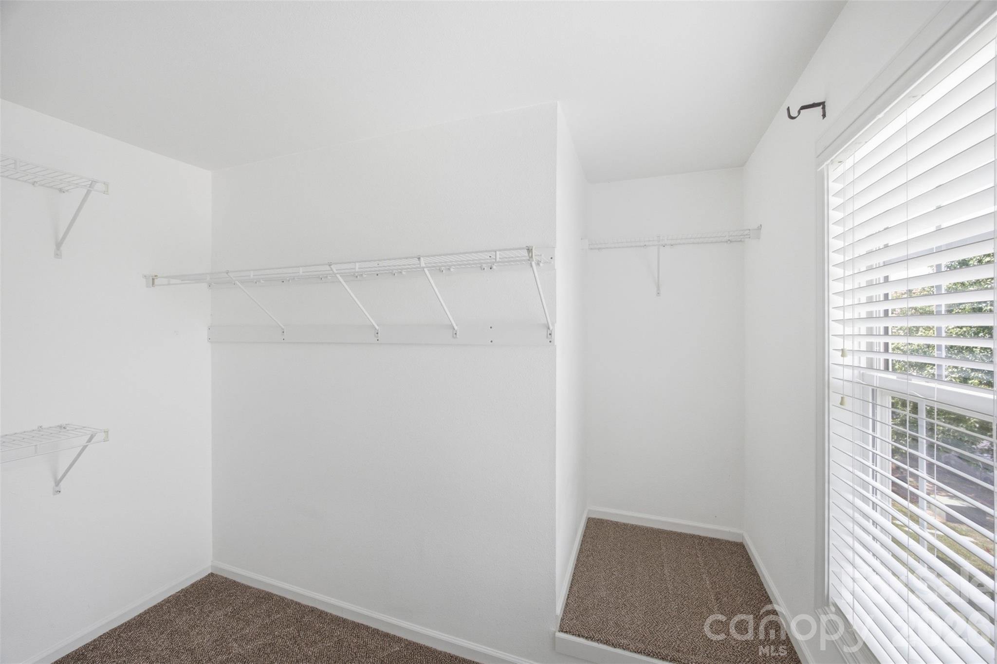 6040 Black Heath Drive Property Photo 24