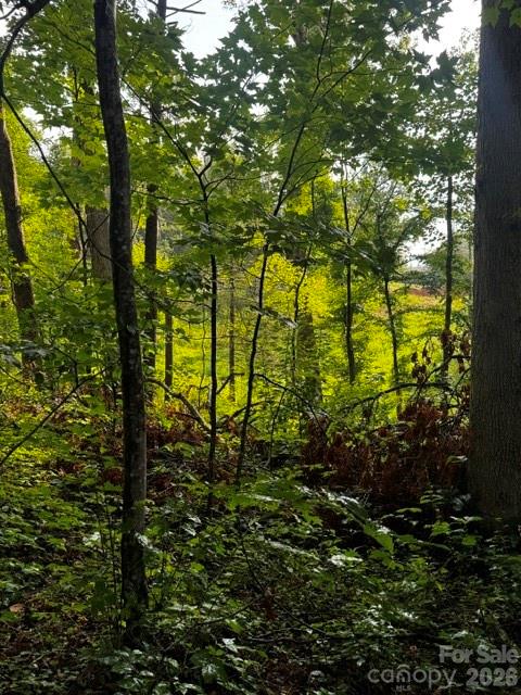 00000 Monticello Road Property Photo 3