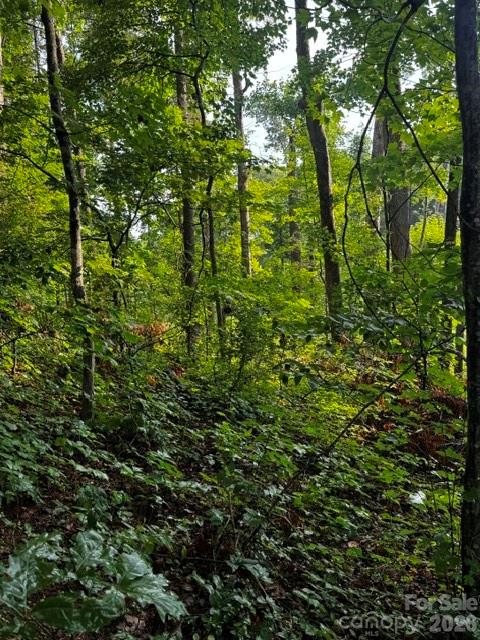 00000 Monticello Road Property Photo 4