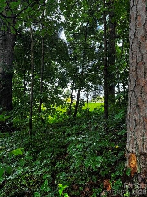 00000 Monticello Road Property Photo 5