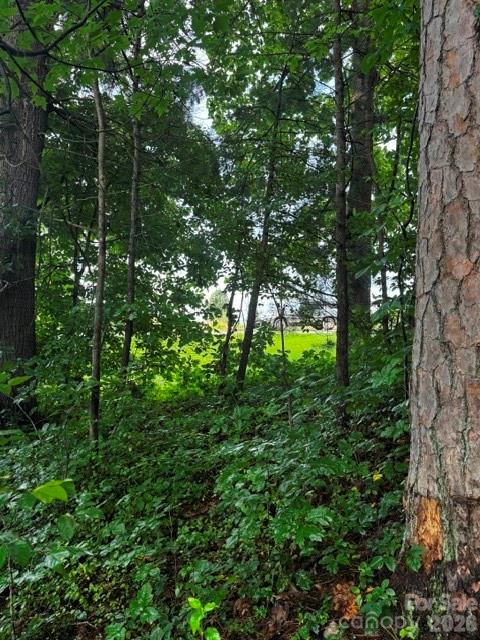 00000 Monticello Road Property Photo 6