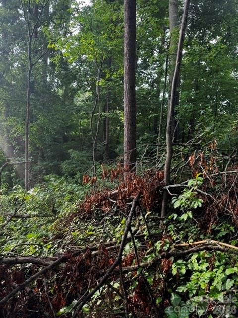 00000 Monticello Road Property Photo 10