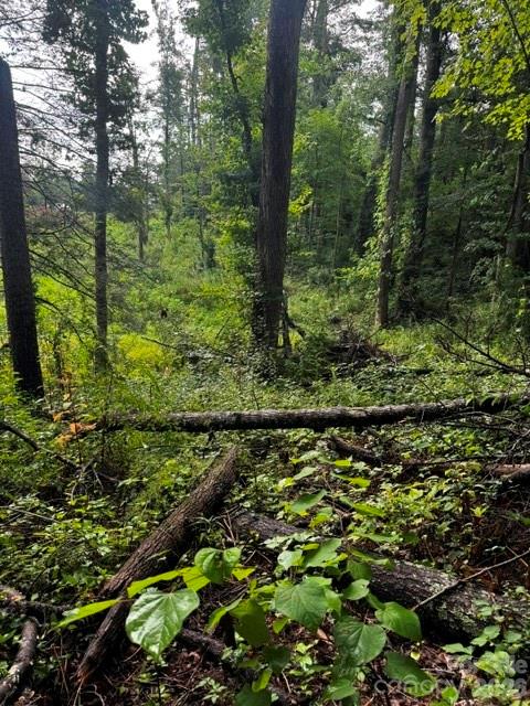00000 Monticello Road Property Photo 12