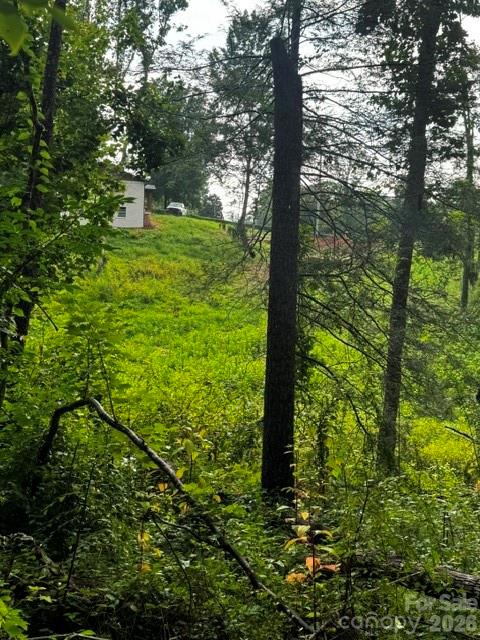 00000 Monticello Road Property Photo 13