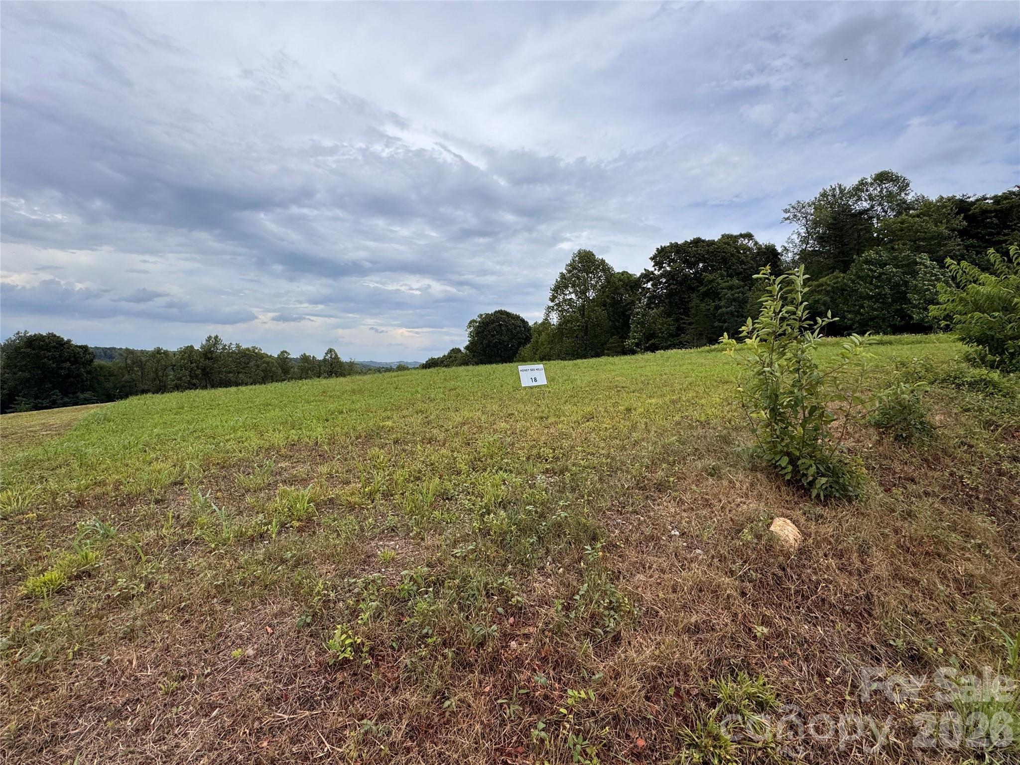 000 Pearson Road Property Photo 2