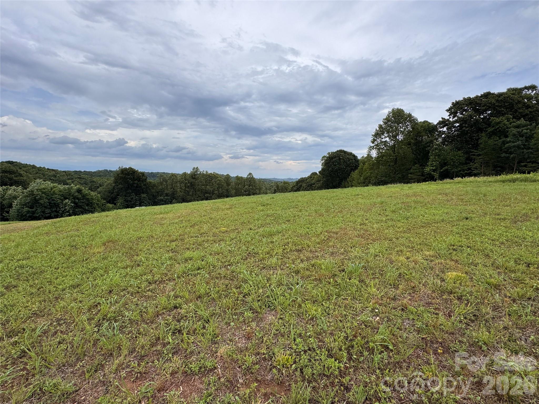 000 Pearson Road Property Photo 3