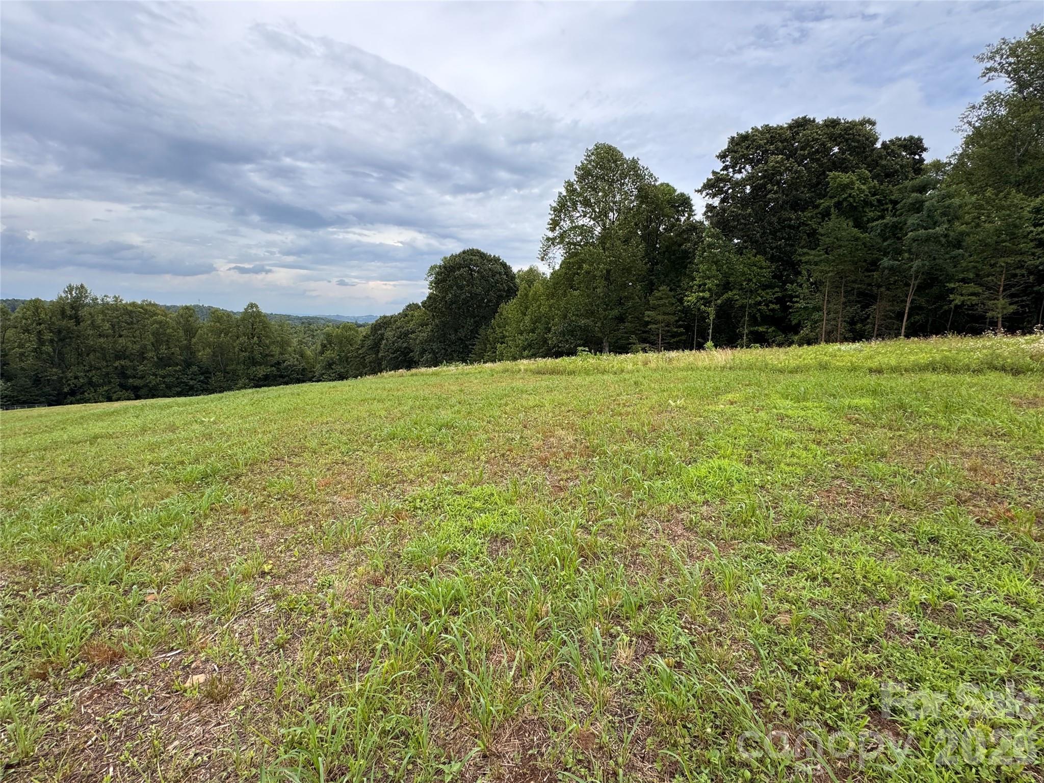 000 Pearson Road Property Photo 6