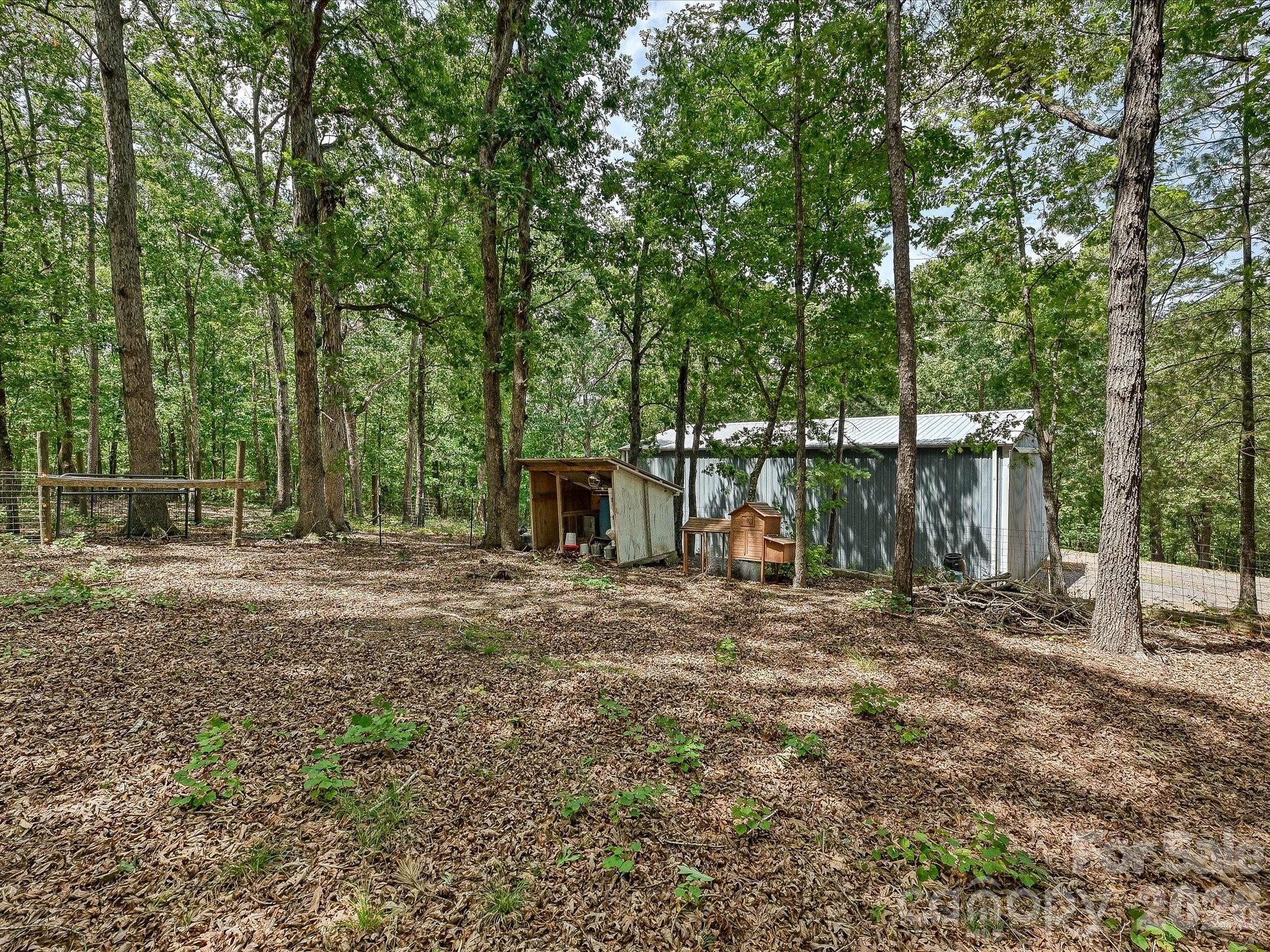 34272 Mabry Road Property Photo 47