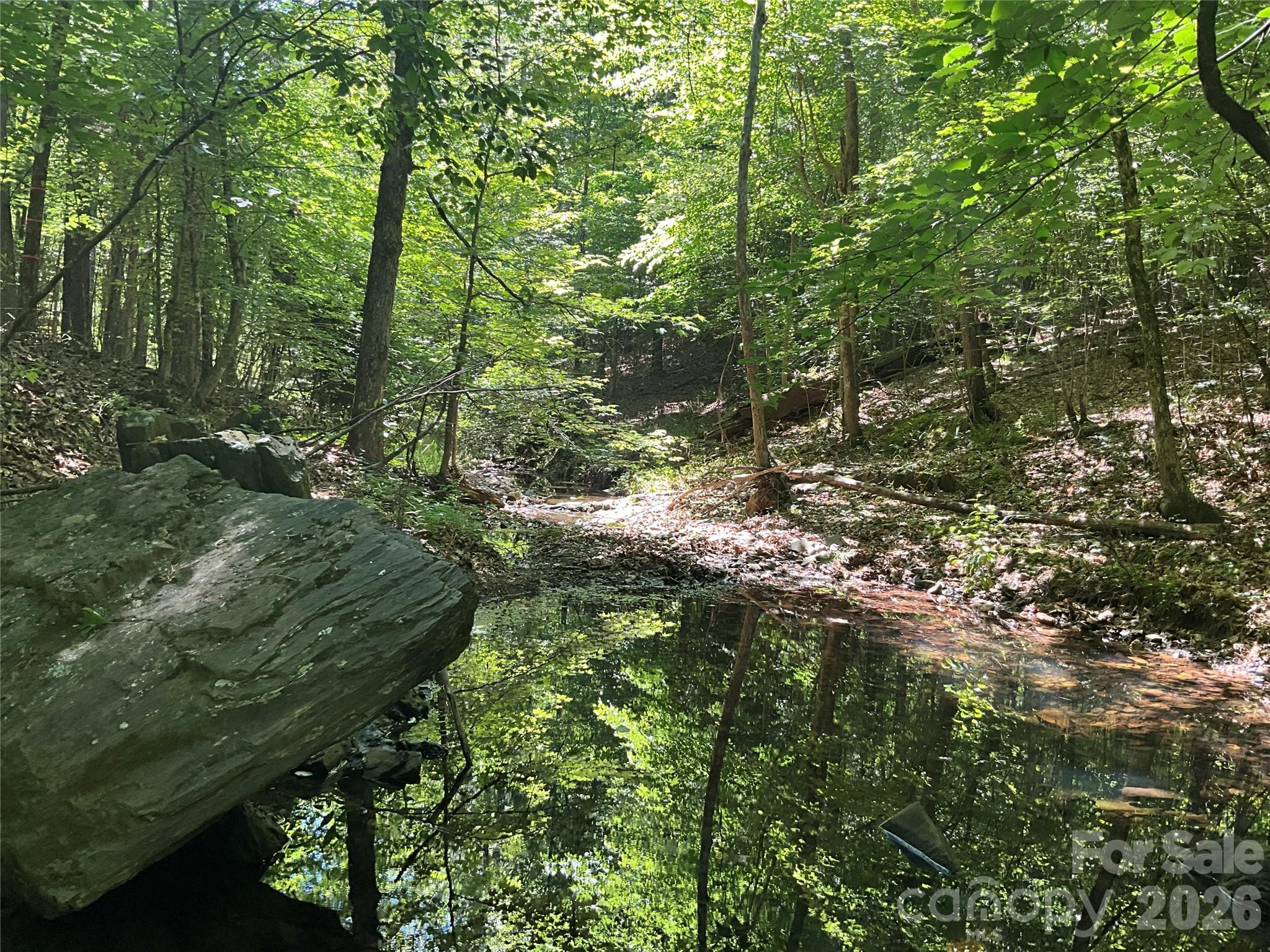 4531 Wilkinsville Highway Property Photo 6