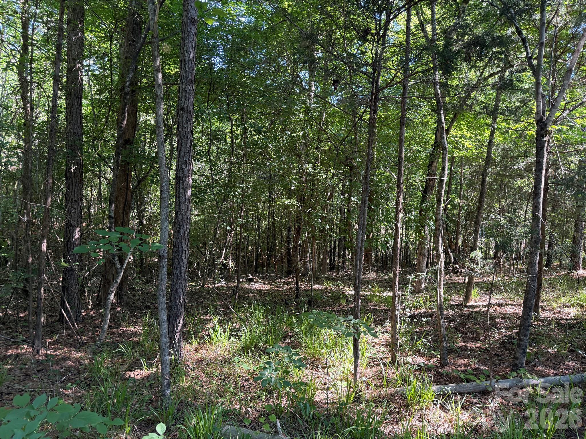 4531 Wilkinsville Highway Property Photo 19