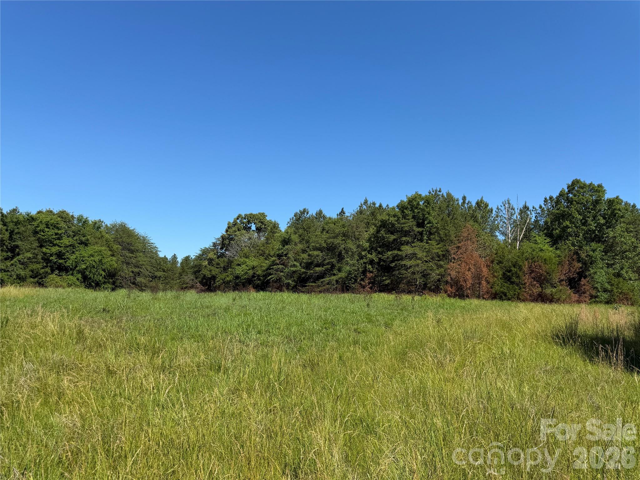 4531 Wilkinsville Highway Property Photo 29