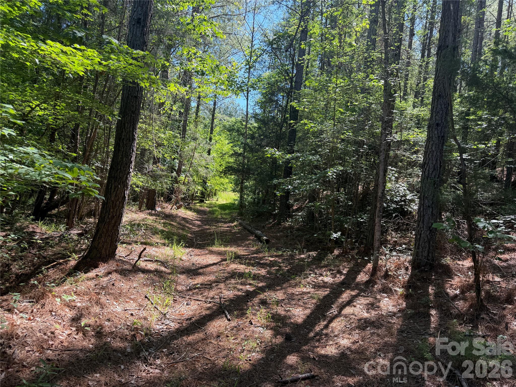 4531 Wilkinsville Highway Property Photo 31