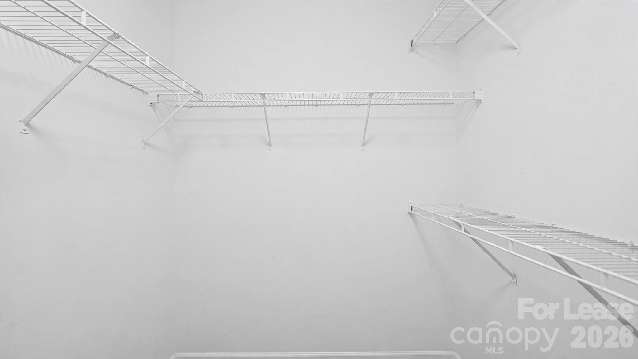 3320 Whitebridge Lane Property Photo 21