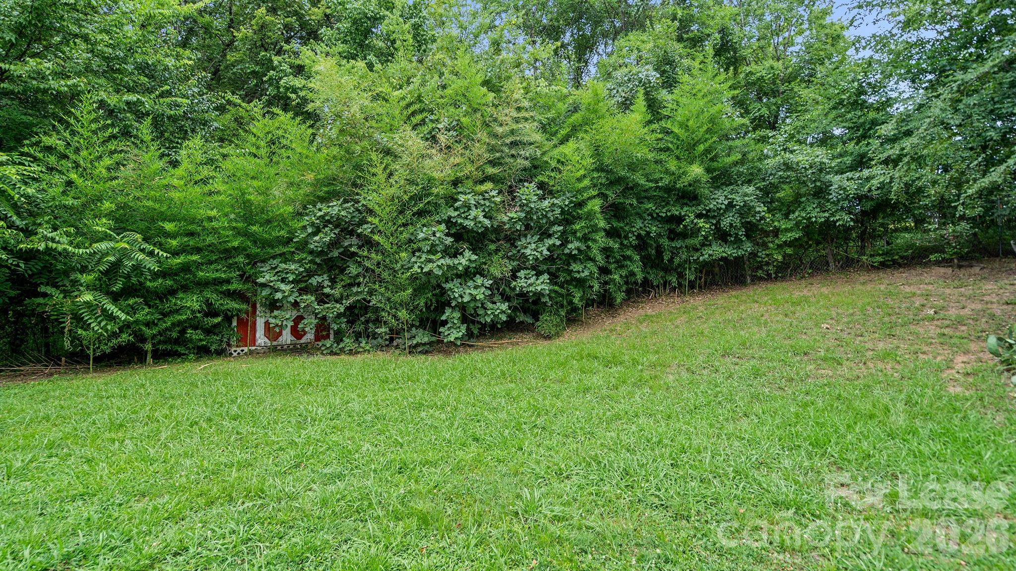 3320 Whitebridge Lane Property Photo 26