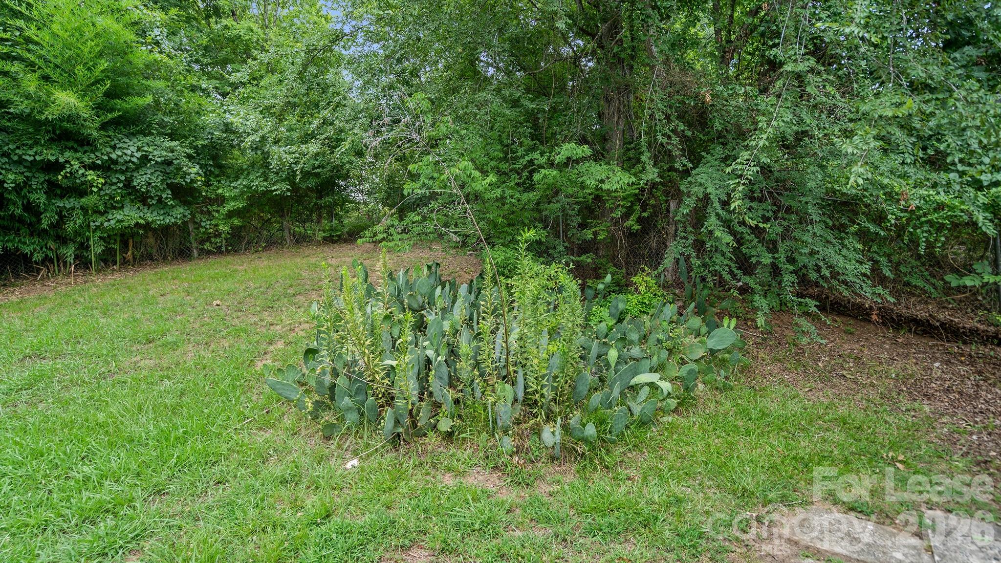 3320 Whitebridge Lane Property Photo 30