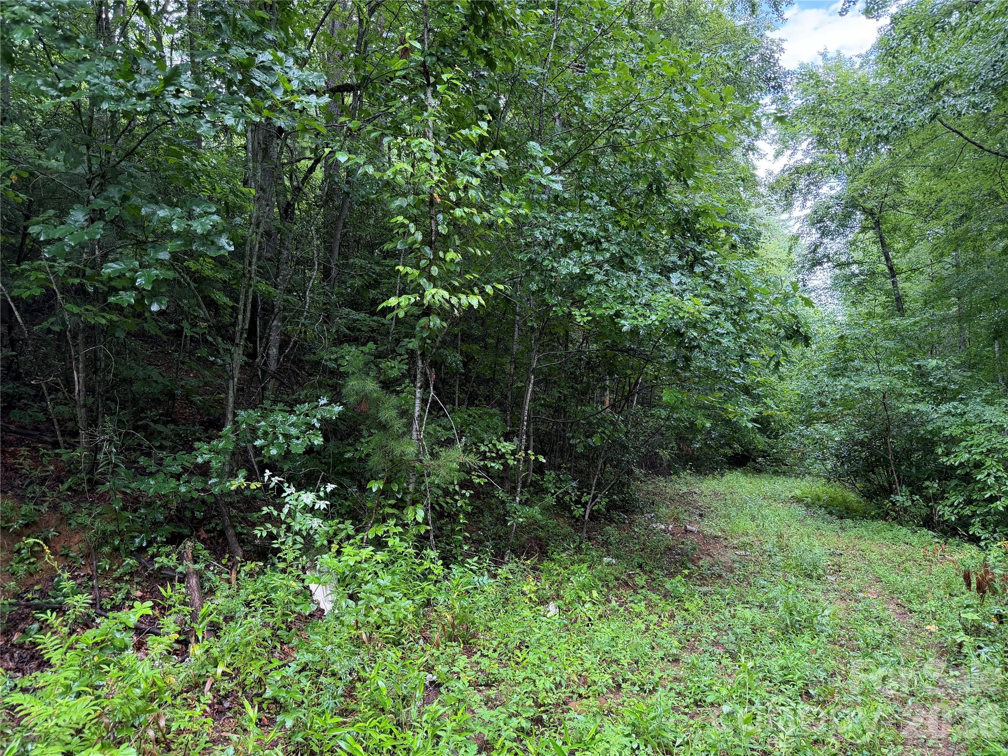 Off Donald Mccall Road Property Photo 1