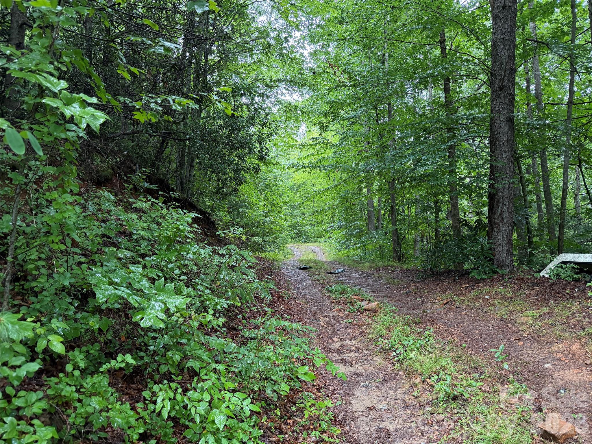 Off Donald Mccall Road Property Photo 2