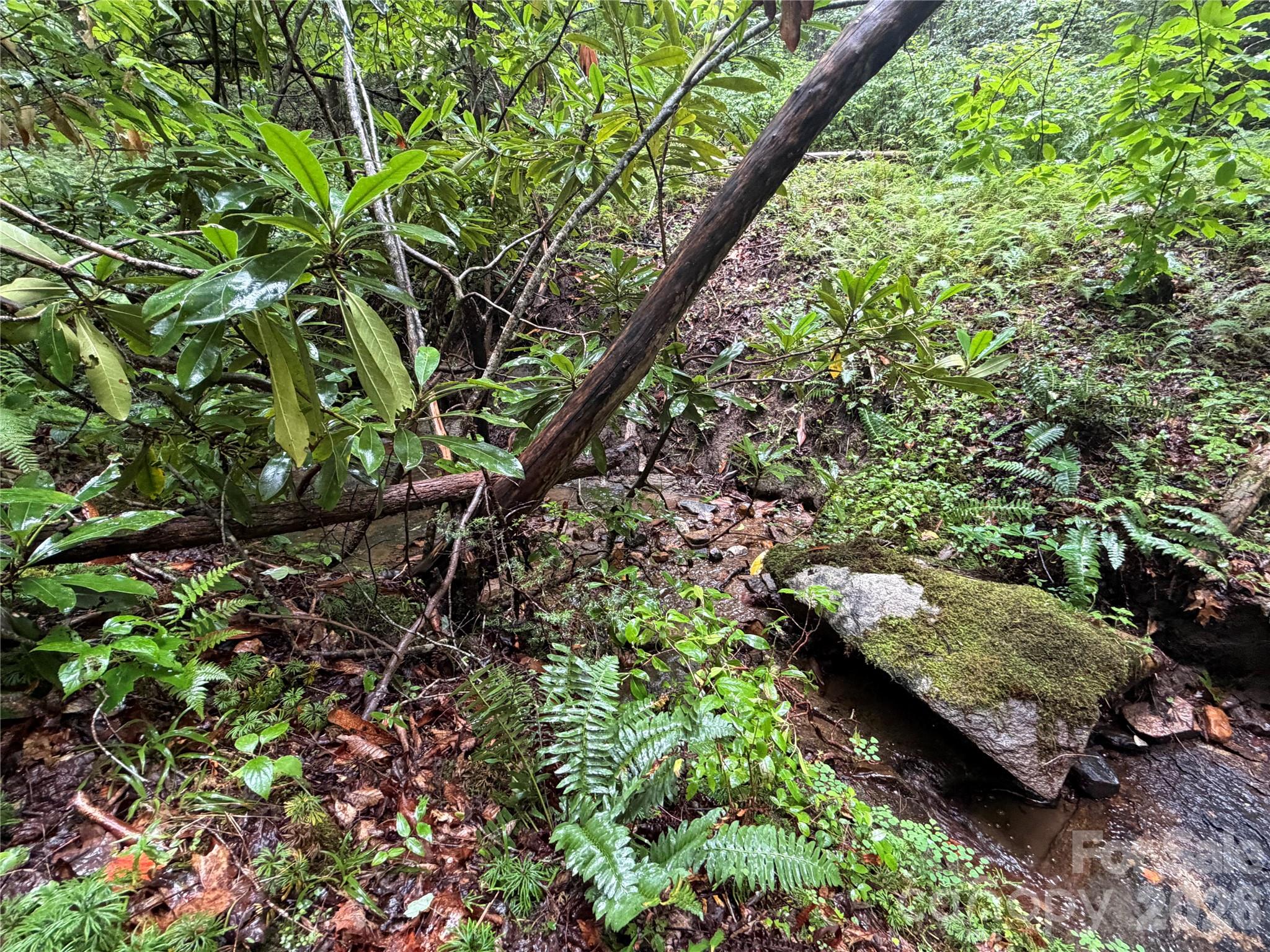 Off Donald Mccall Road Property Photo 3