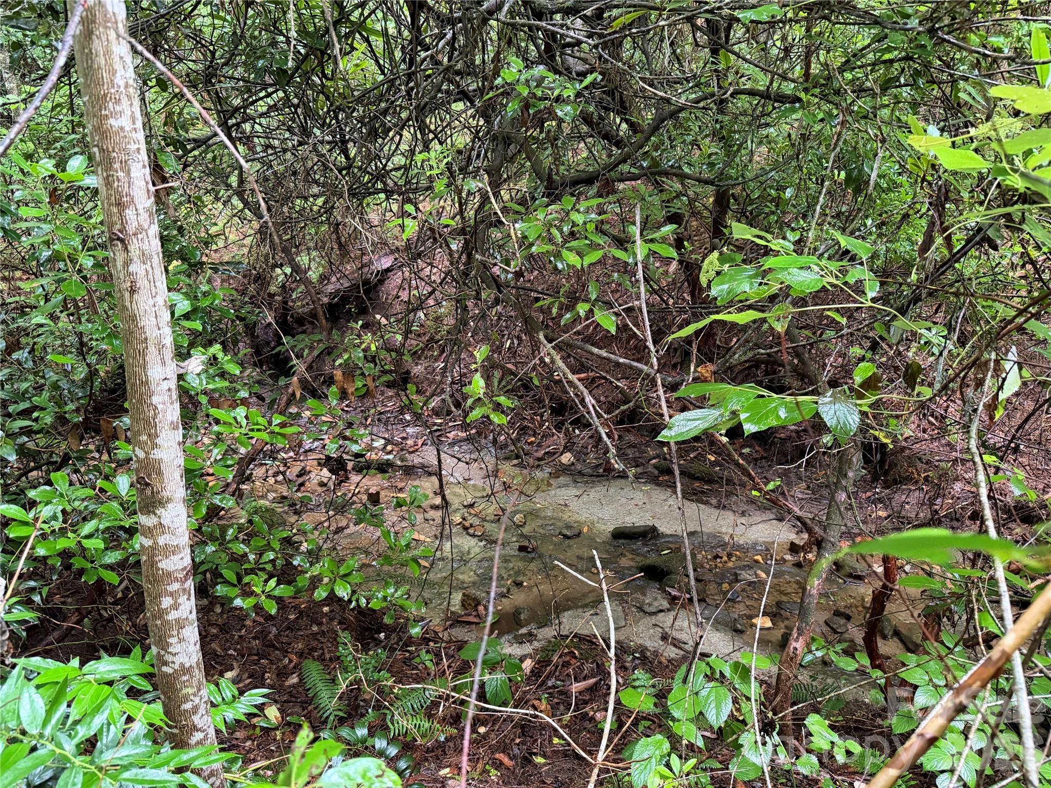 Off Donald Mccall Road Property Photo 4