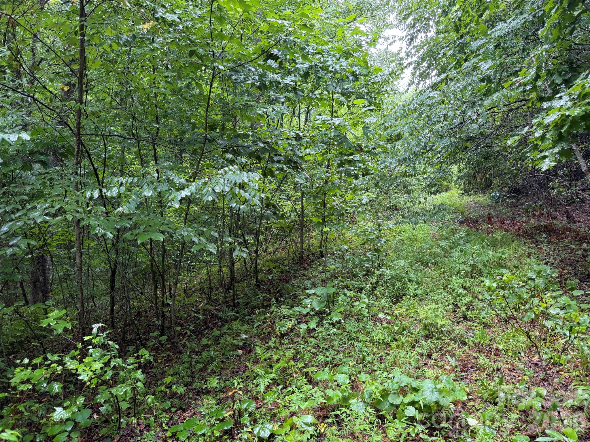 Off Donald Mccall Road Property Photo 5