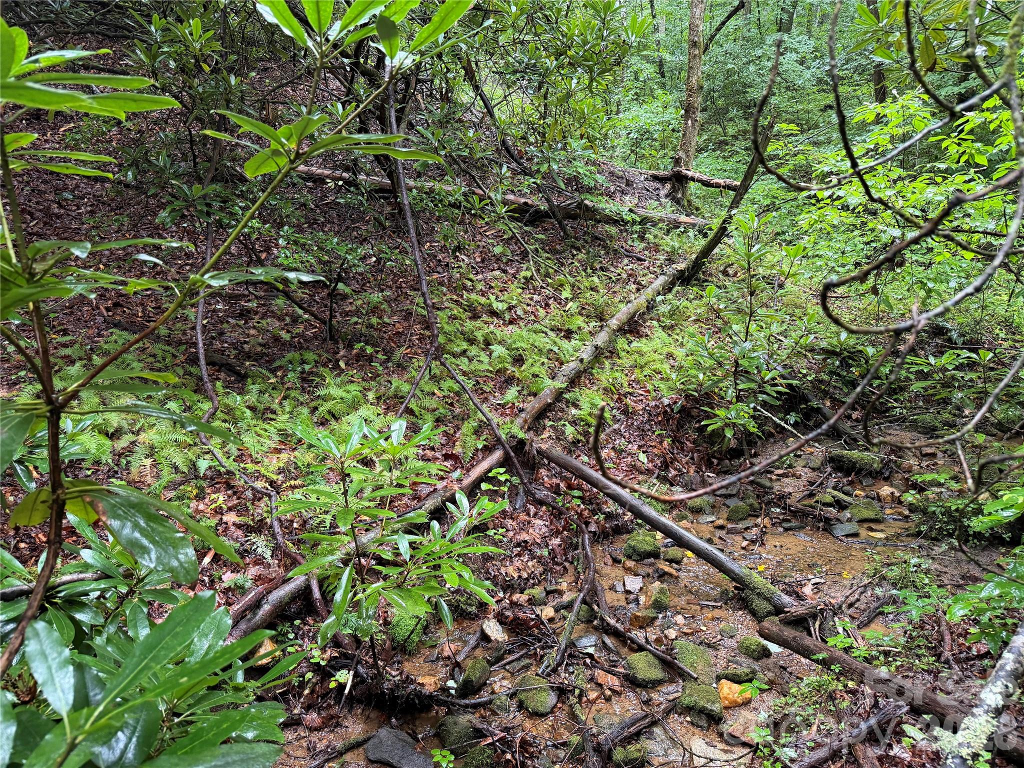 Off Donald Mccall Road Property Photo 6