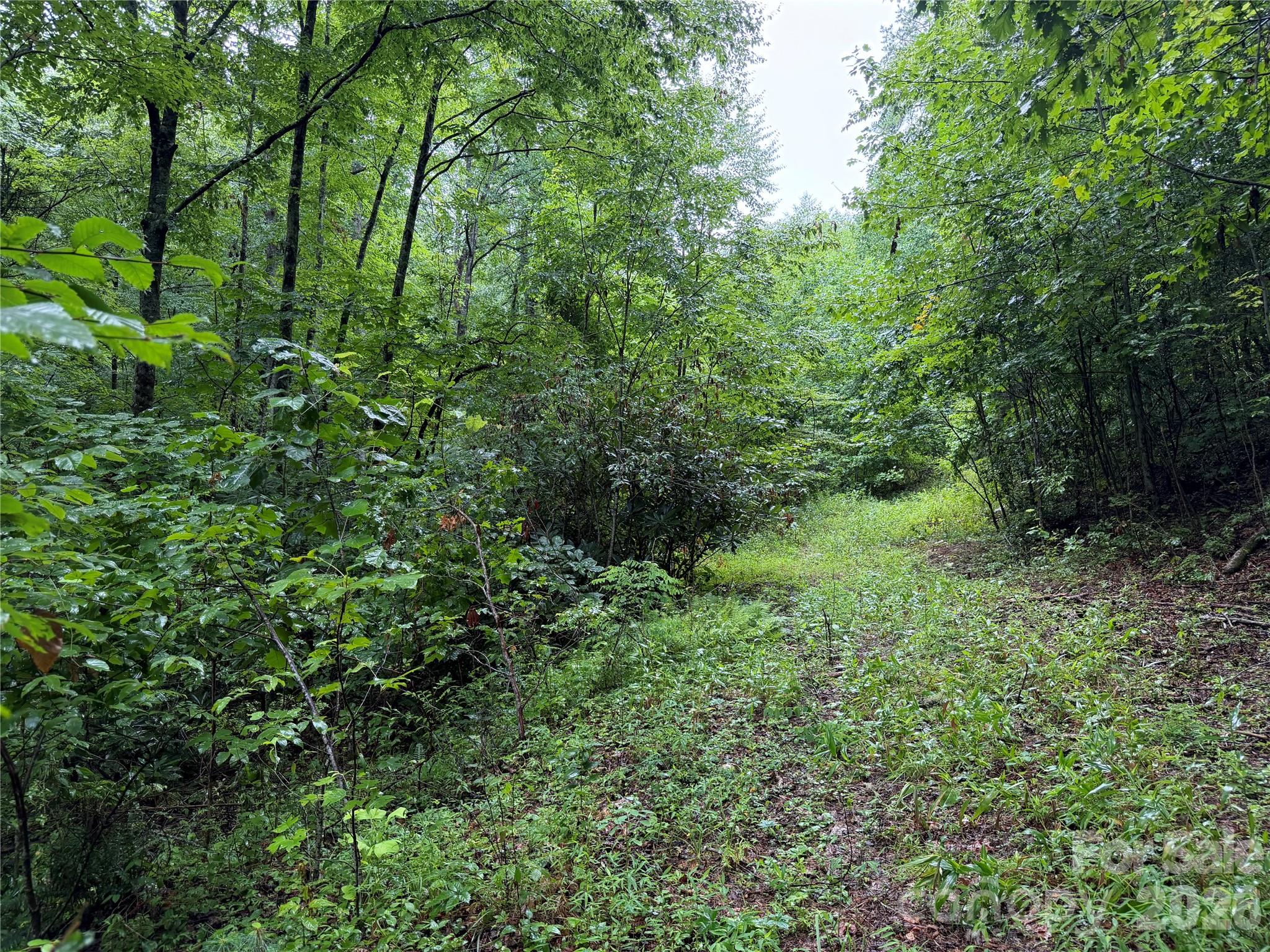 Off Donald Mccall Road Property Photo 7