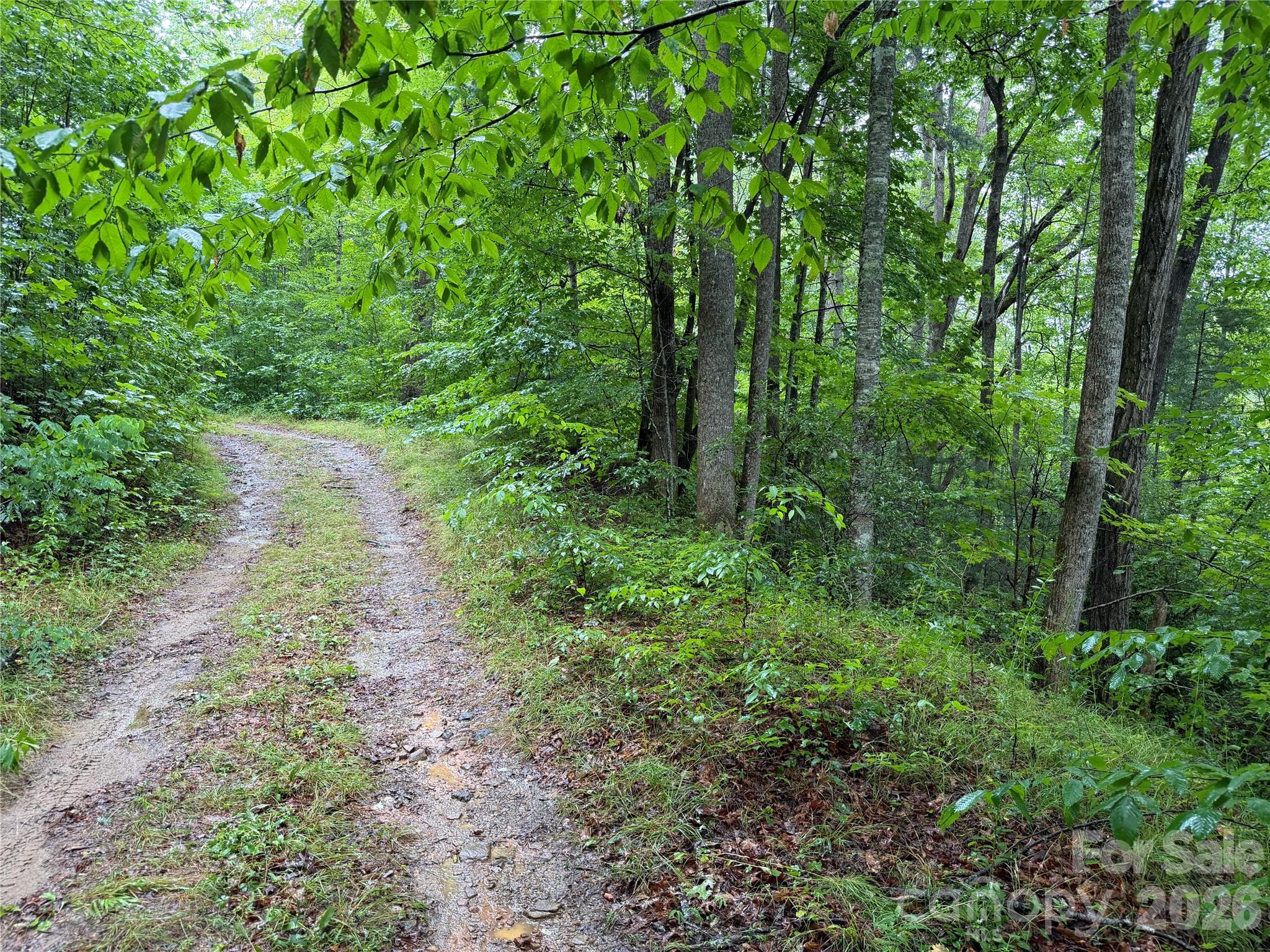 Off Donald Mccall Road Property Photo 8
