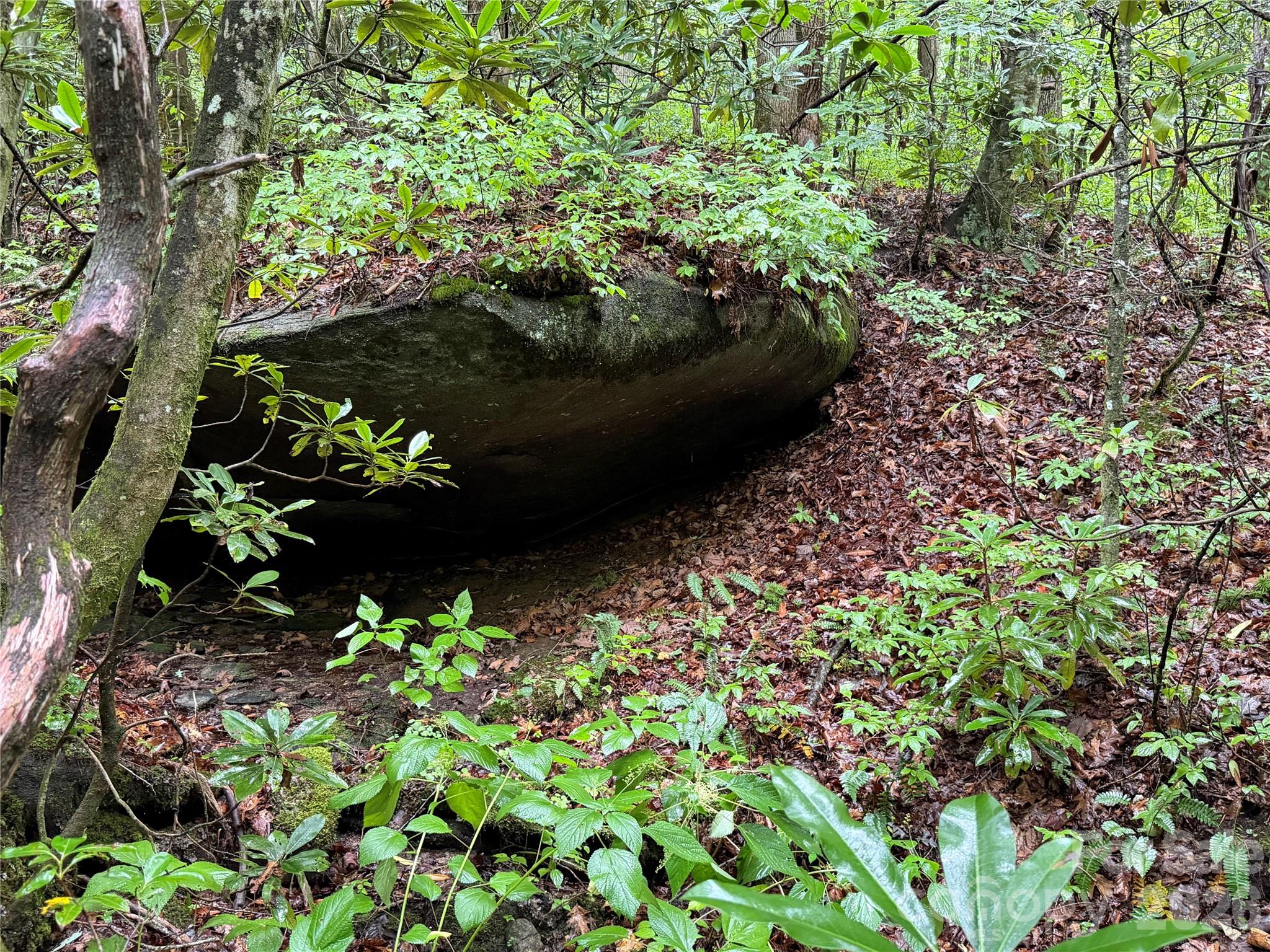 Off Donald Mccall Road Property Photo 12