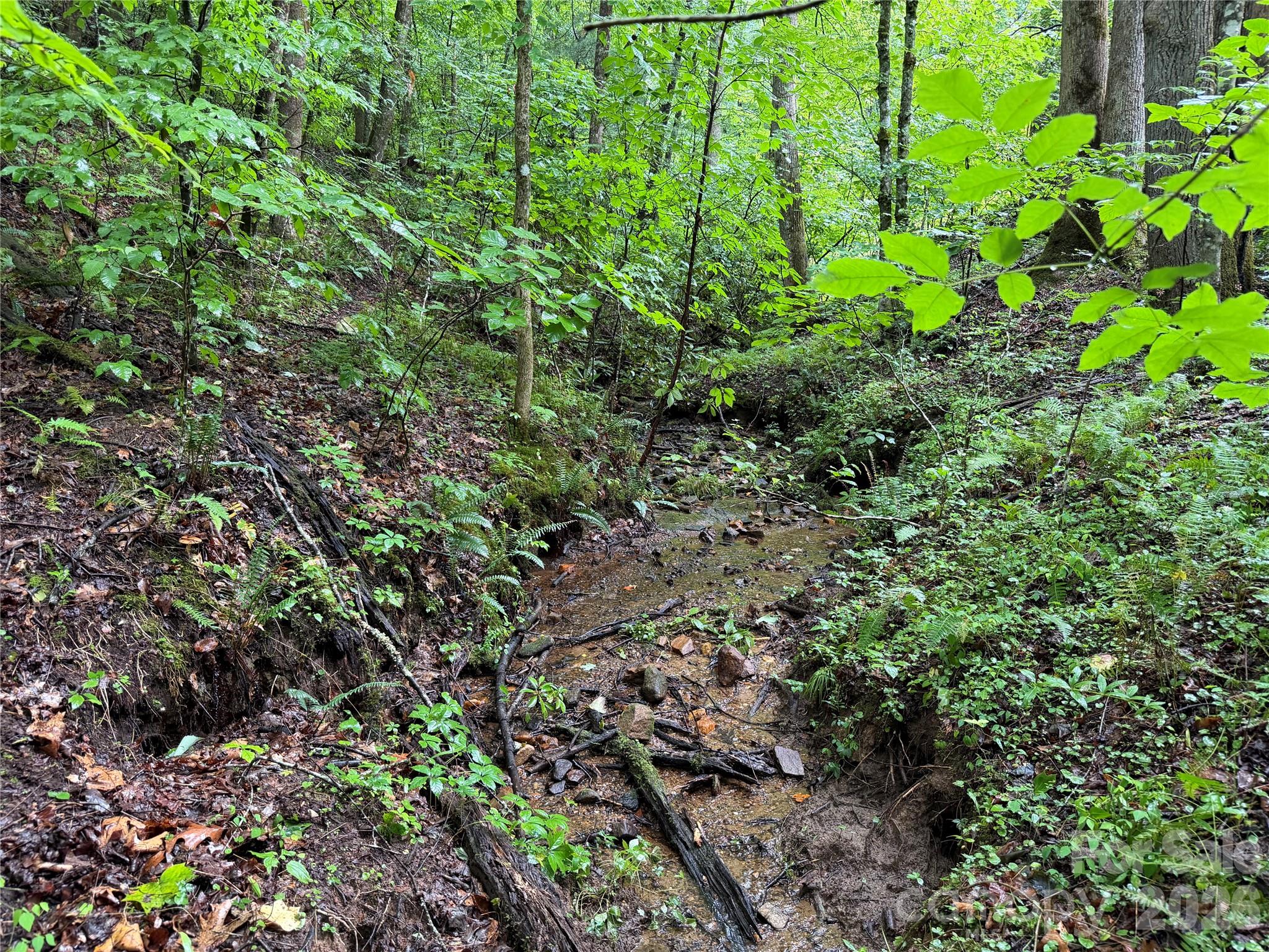 Off Donald Mccall Road Property Photo 13