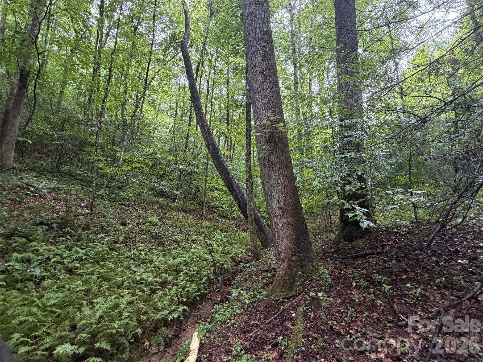 Off Donald Mccall Road Property Photo 14