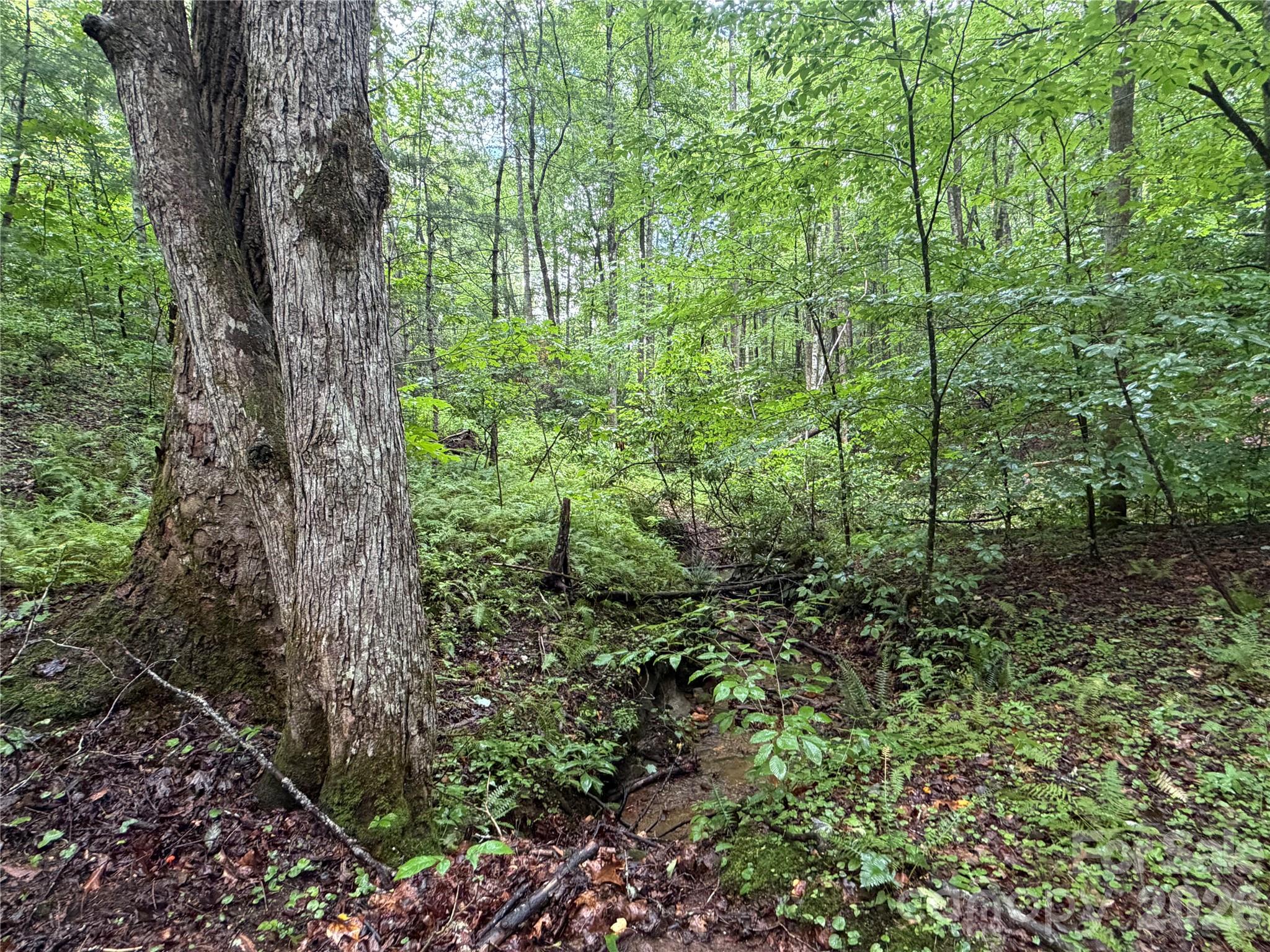 Off Donald Mccall Road Property Photo 15
