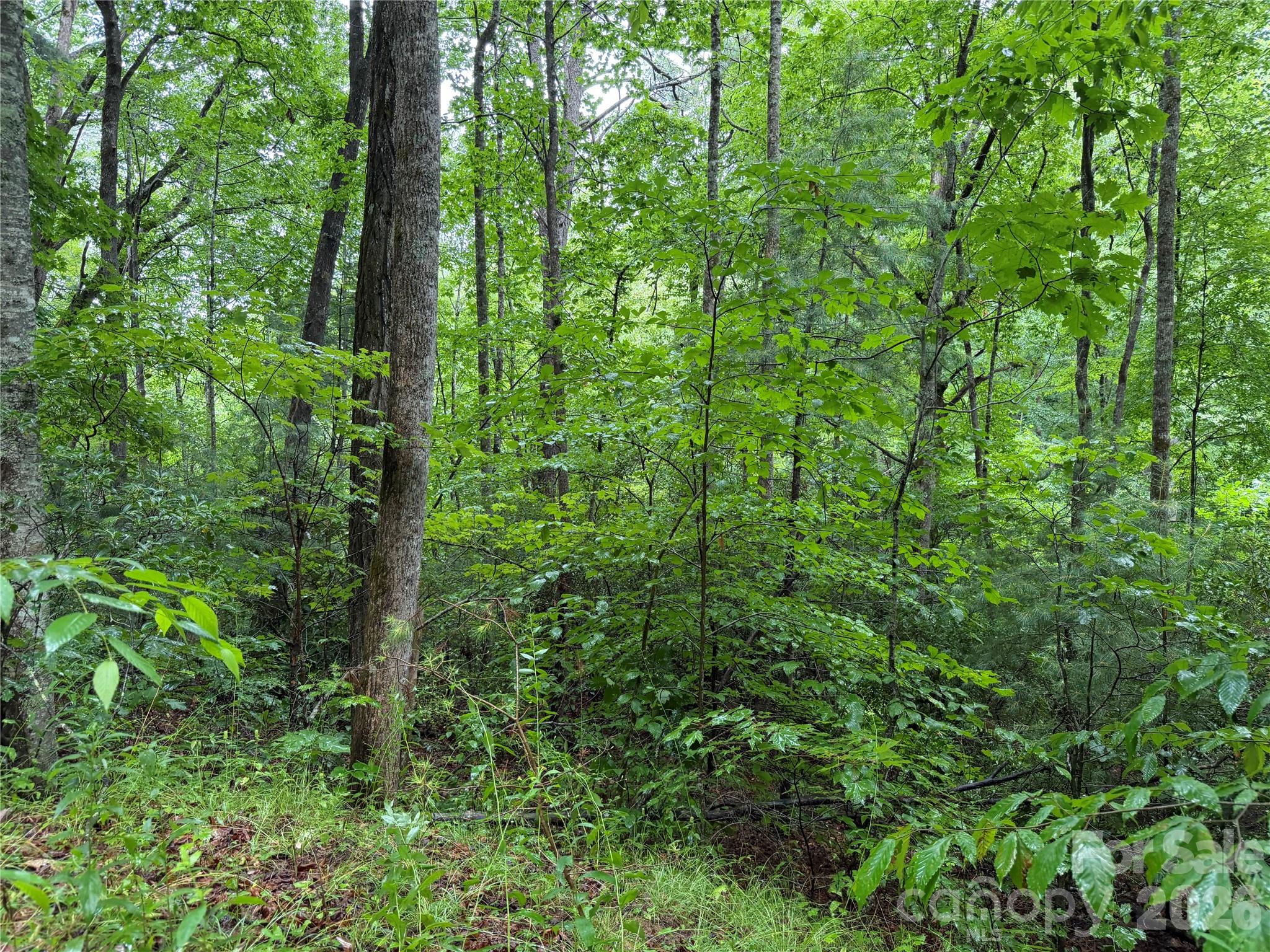 Off Donald Mccall Road Property Photo 16