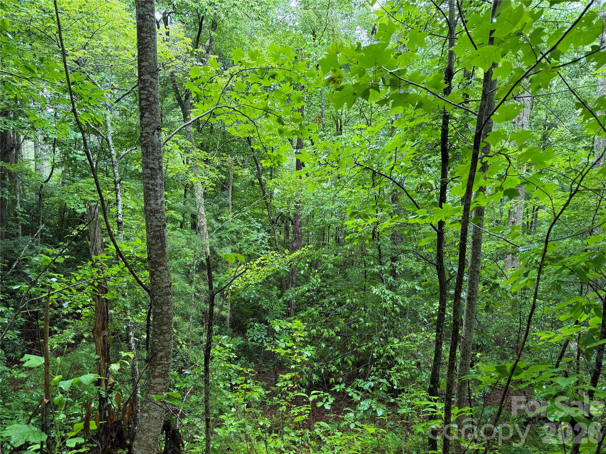Off Donald Mccall Road Property Photo 17