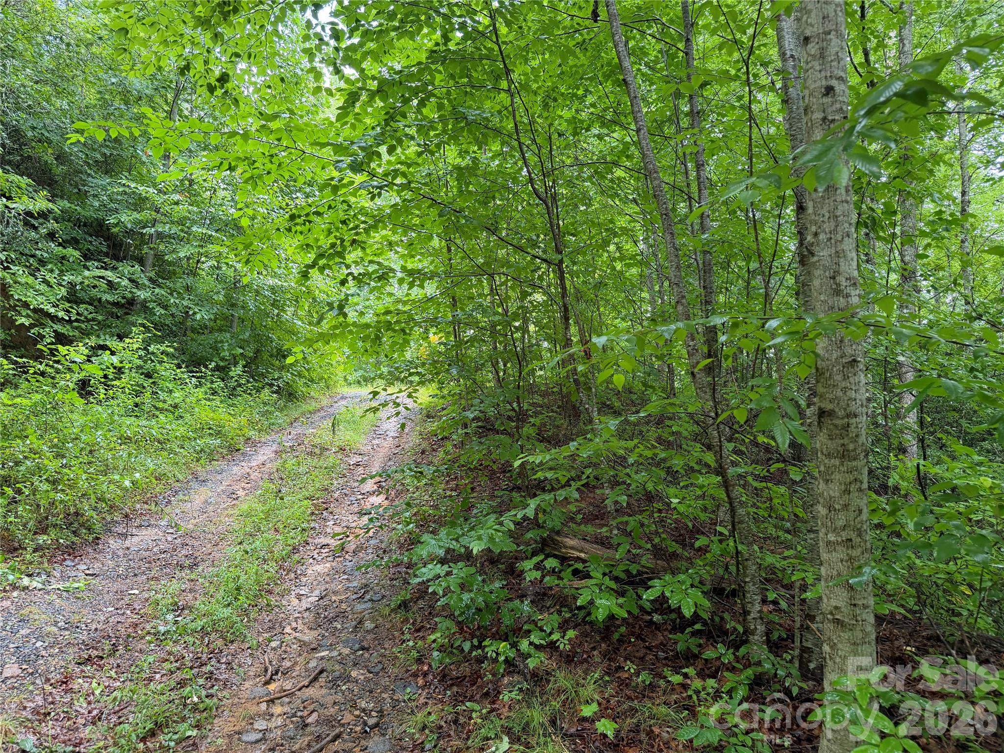 Off Donald Mccall Road Property Photo 18
