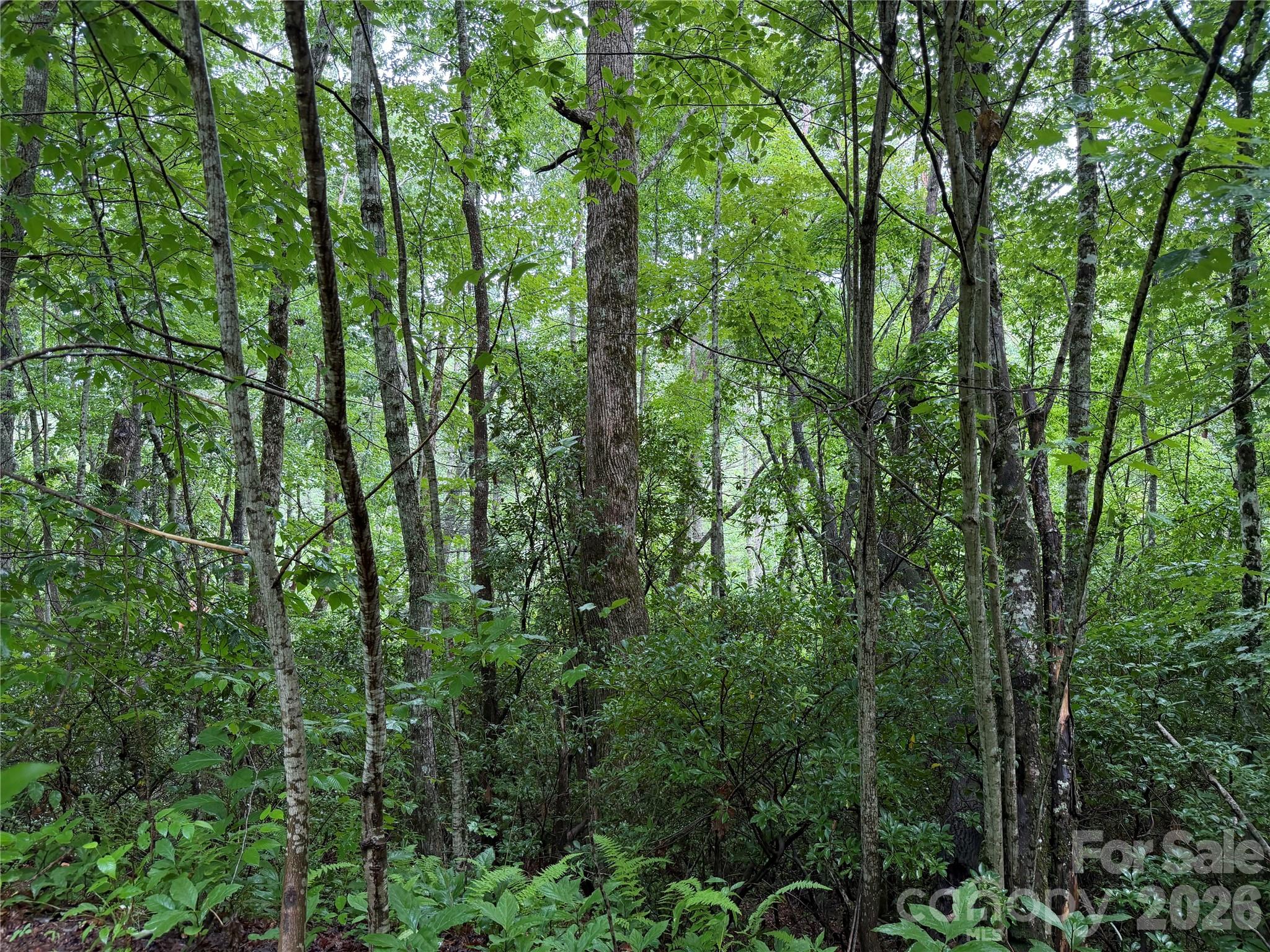 Off Donald Mccall Road Property Photo 19