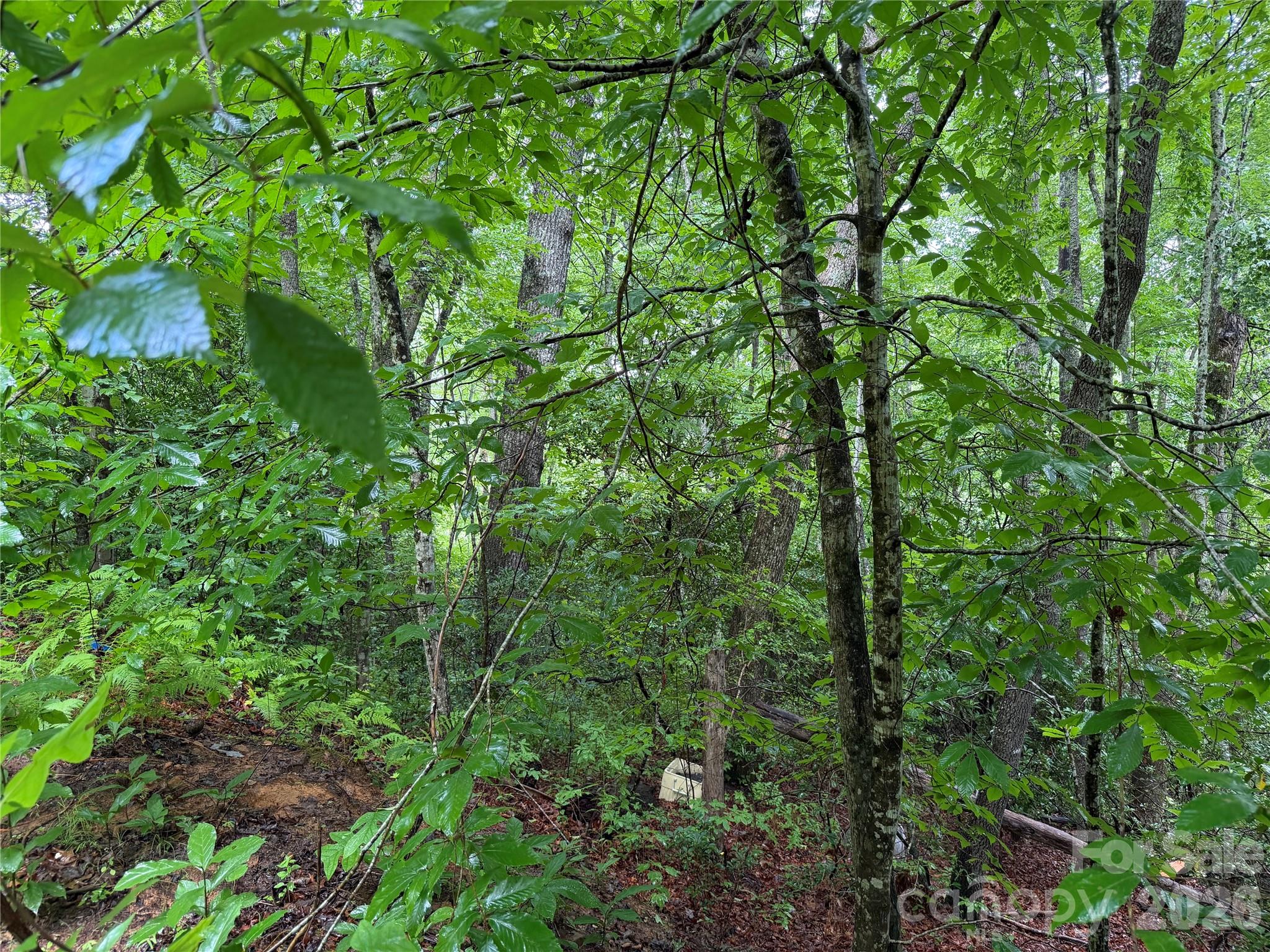 Off Donald Mccall Road Property Photo 20
