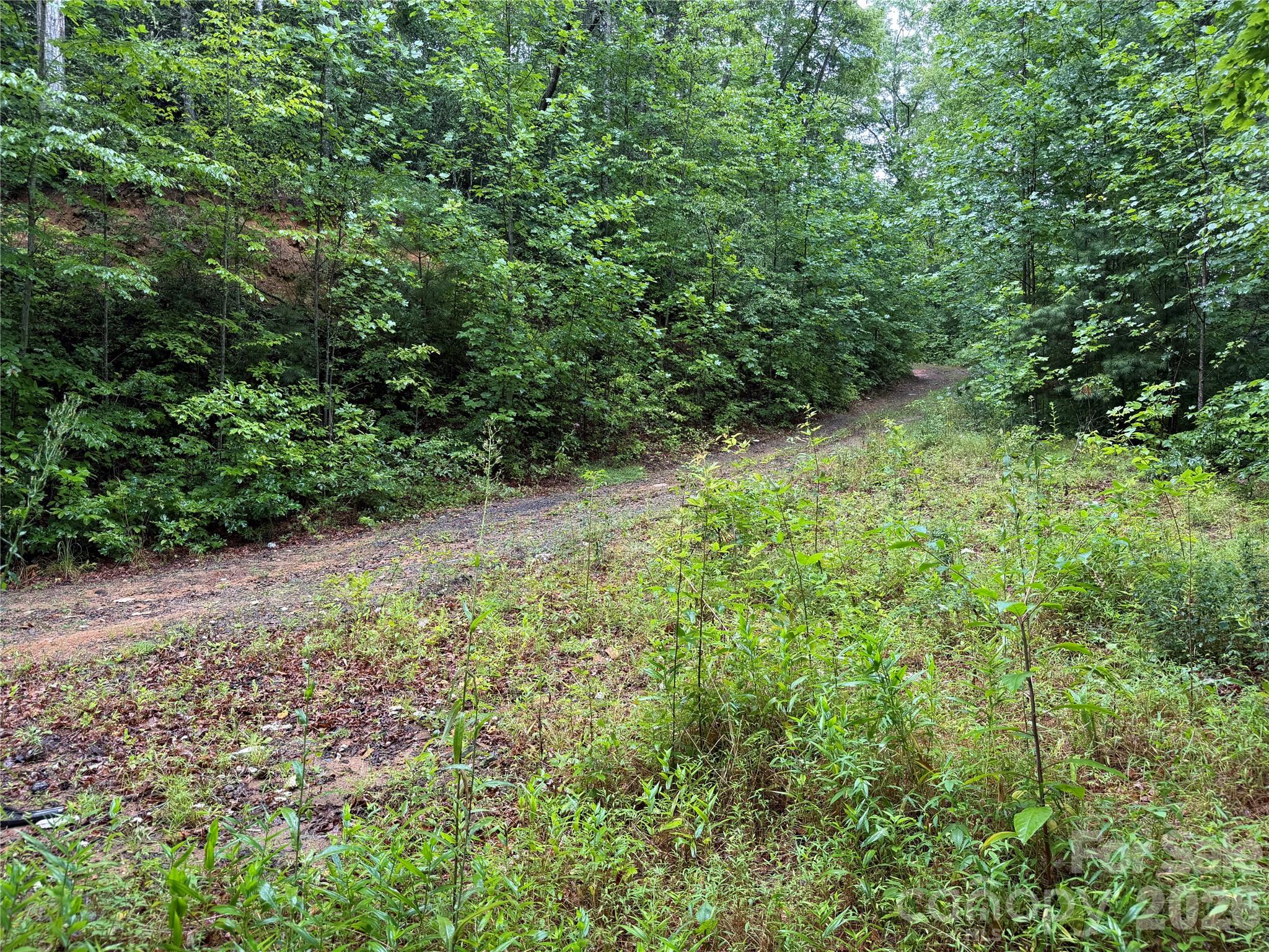 Off Donald Mccall Road Property Photo 21