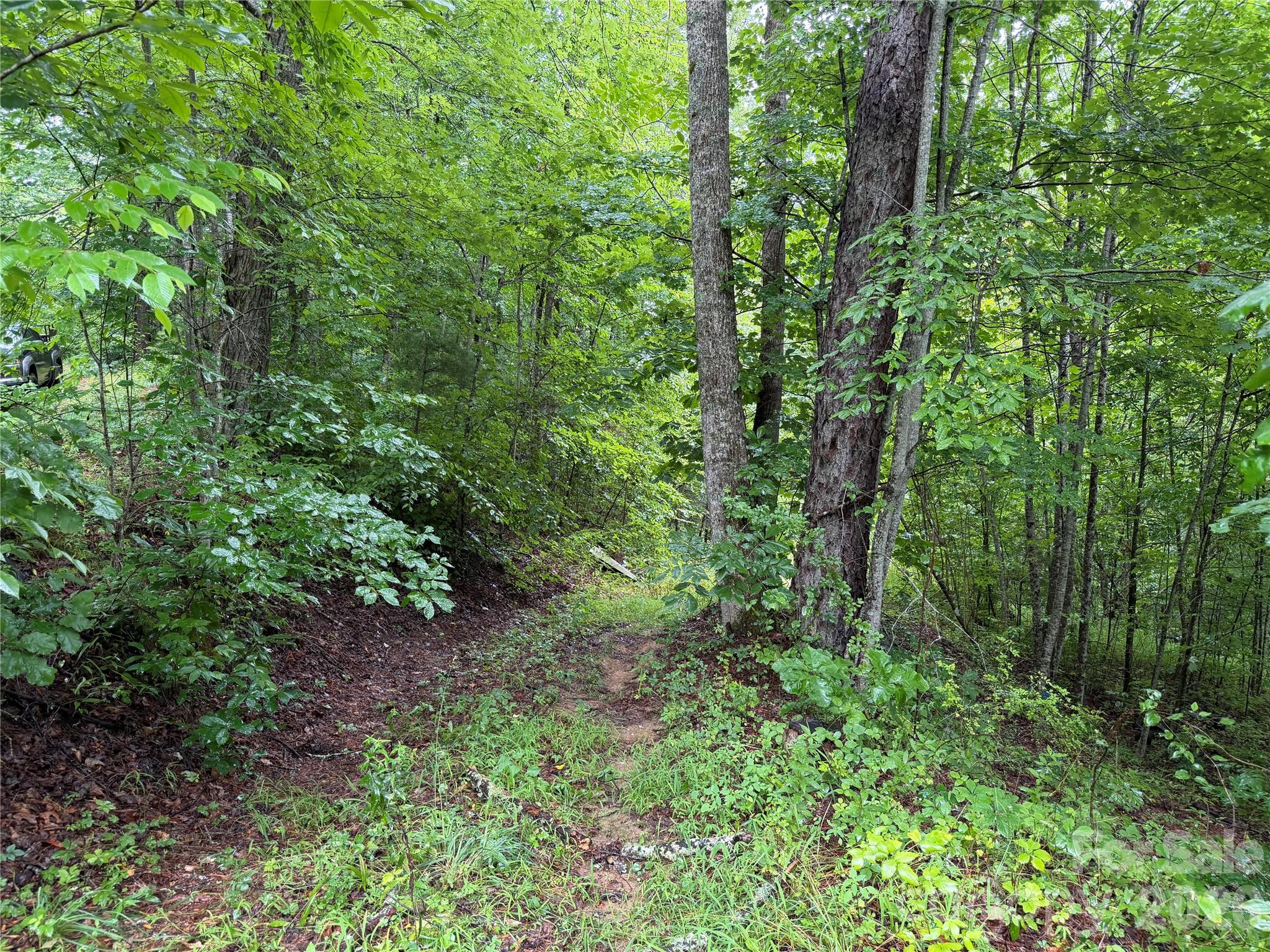 Off Donald Mccall Road Property Photo 22