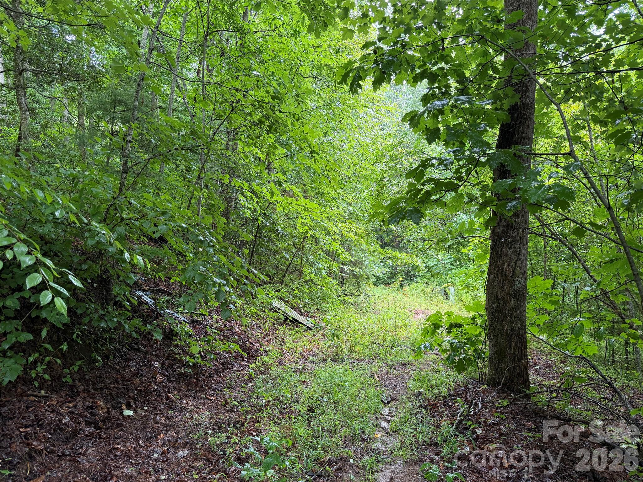 Off Donald Mccall Road Property Photo 23