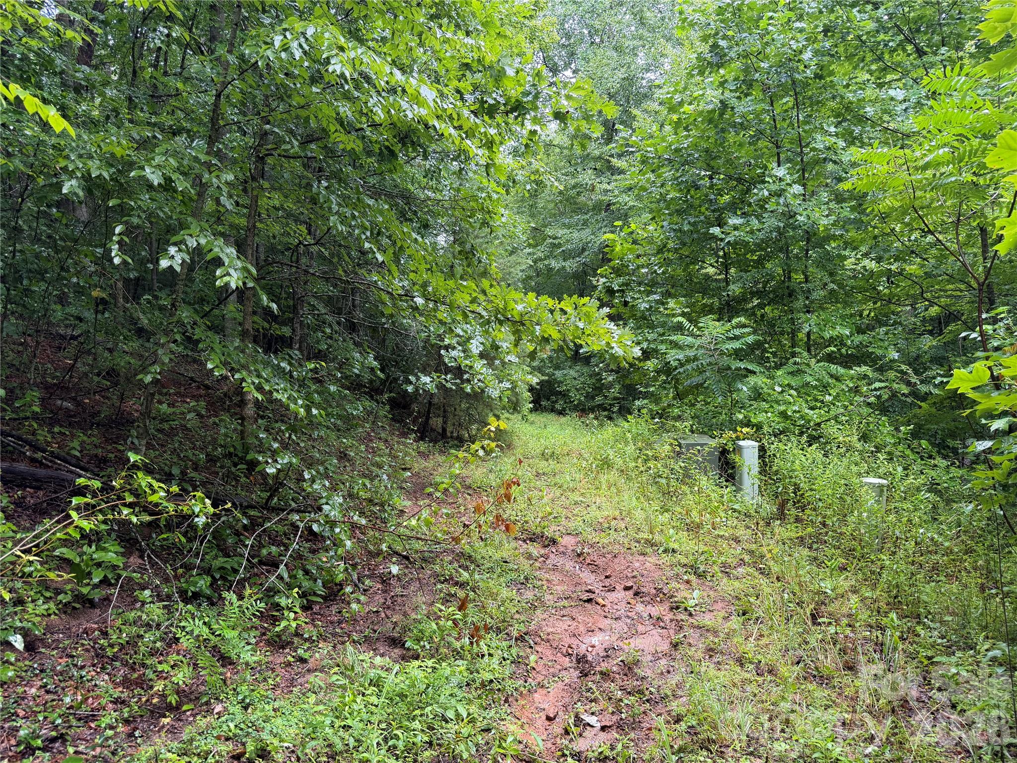 Off Donald Mccall Road Property Photo 24