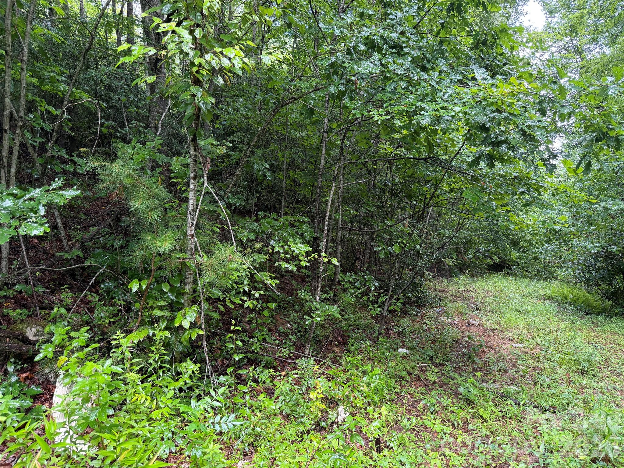 Off Donald Mccall Road Property Photo 25