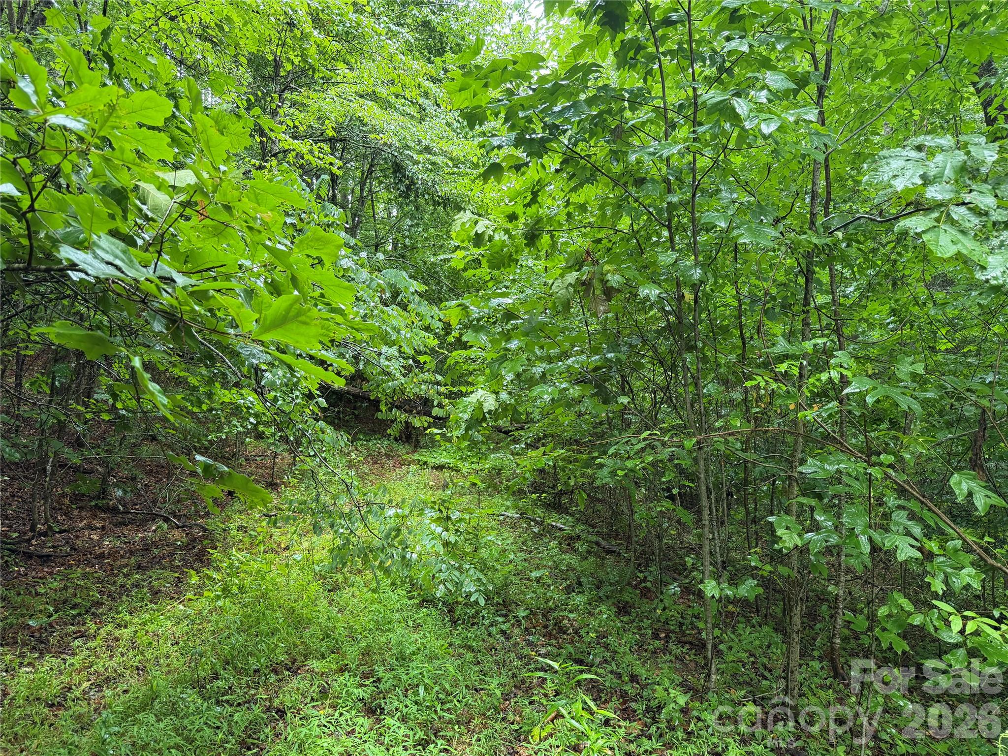 Off Donald Mccall Road Property Photo 26