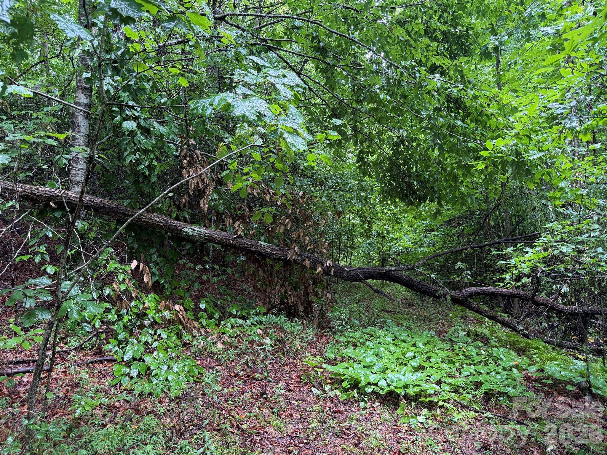 Off Donald Mccall Road Property Photo 27