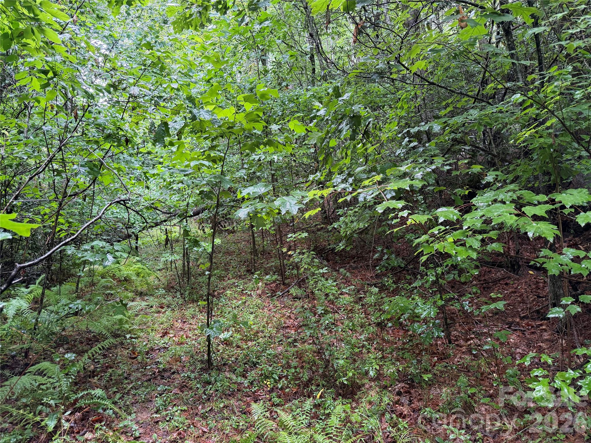 Off Donald Mccall Road Property Photo 29