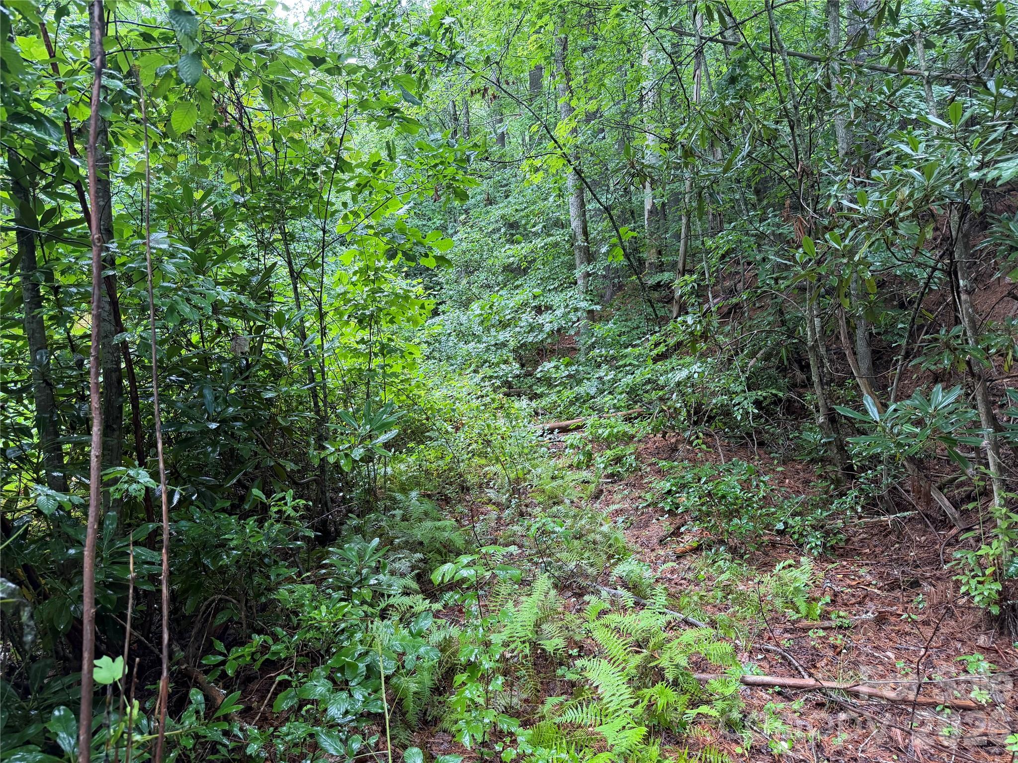 Off Donald Mccall Road Property Photo 30