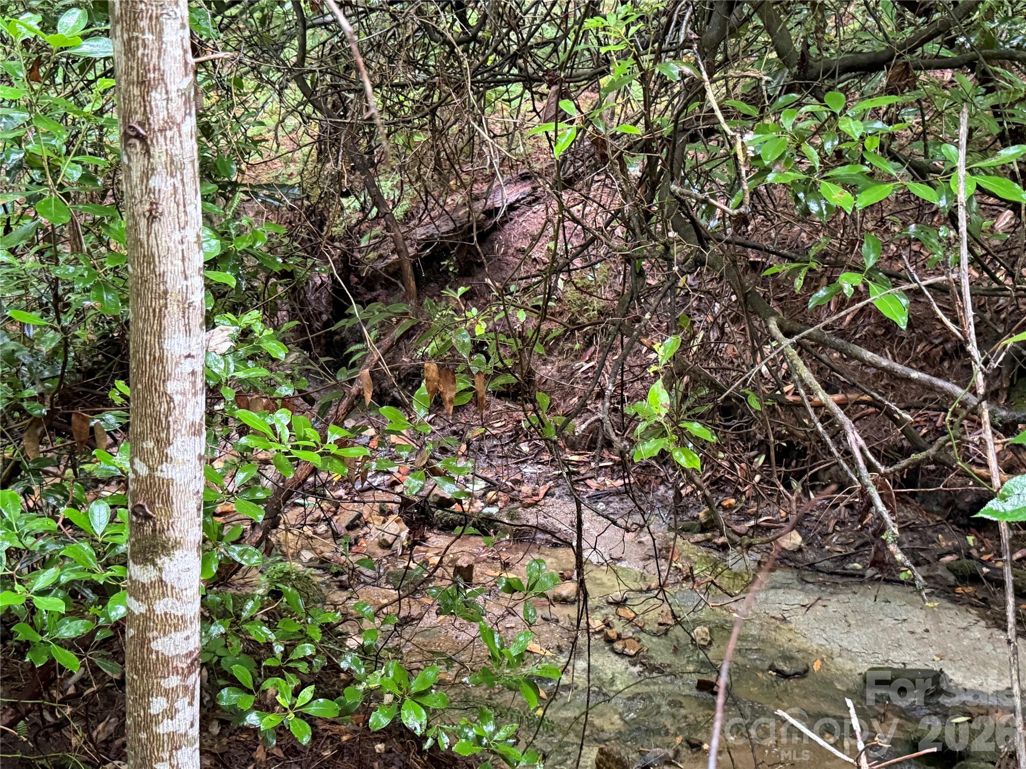 Off Donald Mccall Road Property Photo 31